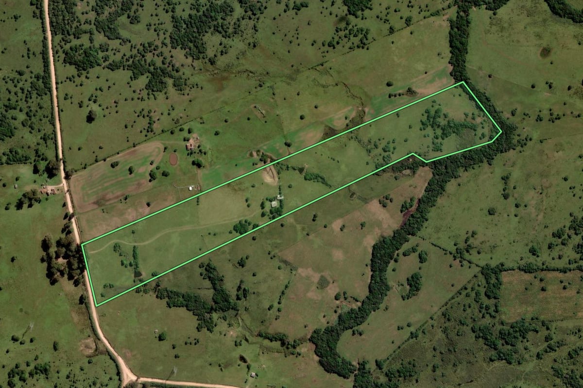 Imagem de satélite do imóvel rural em Pinheiro Machado (RS), com o contorno declarado no CAR desenhado por cima.