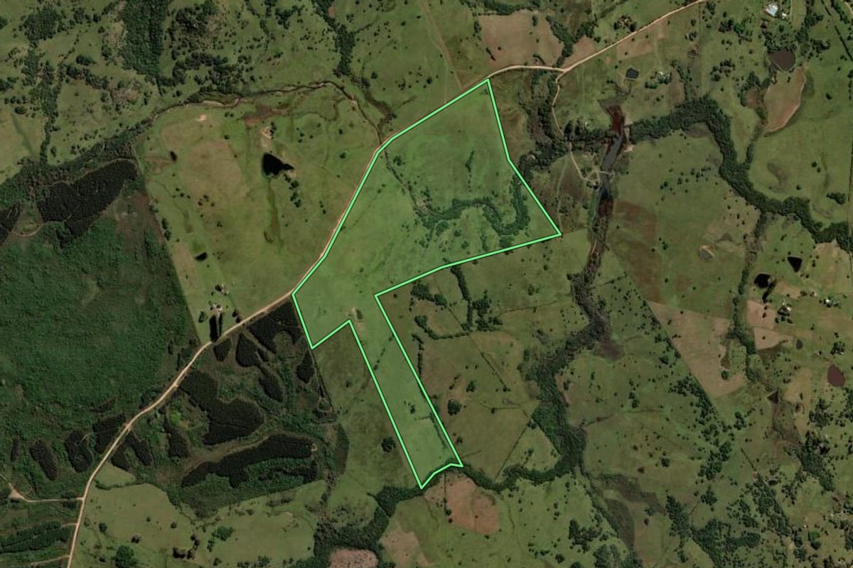 Imagem de satélite do imóvel rural em Pinheiro Machado (RS), com o contorno declarado no CAR desenhado por cima.