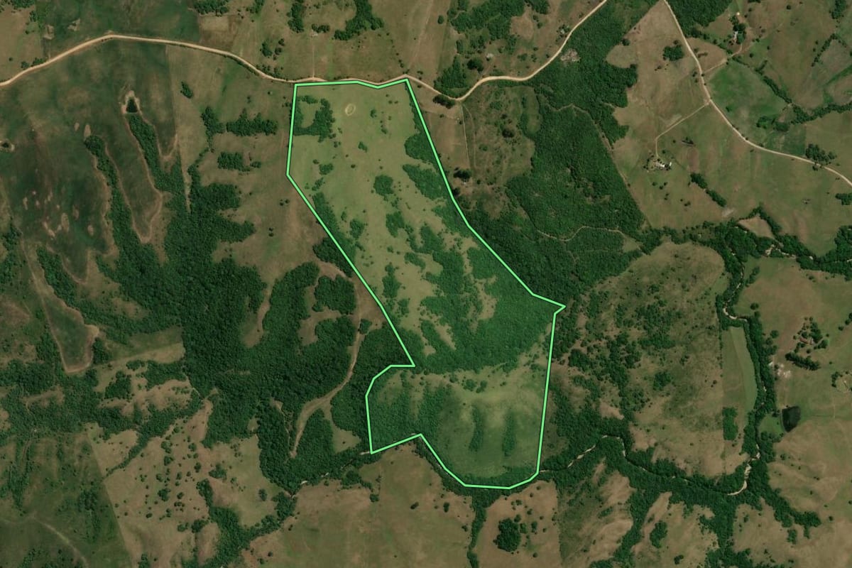 Imagem de satélite do imóvel rural em Pinheiro Machado (RS), com o contorno declarado no CAR desenhado por cima.