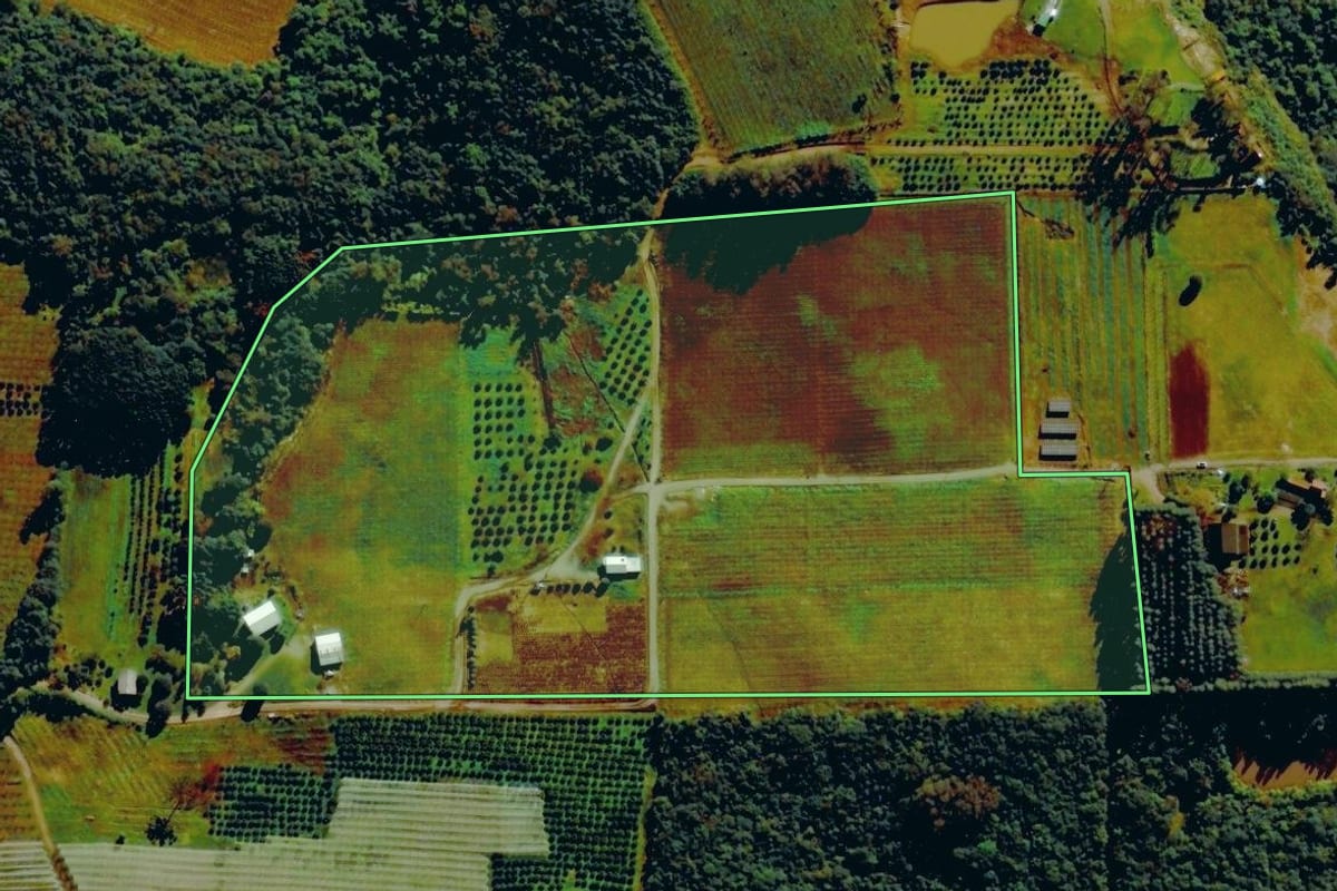 Imagem de satélite do imóvel rural em Pinto Bandeira (RS), com o contorno declarado no CAR desenhado por cima.