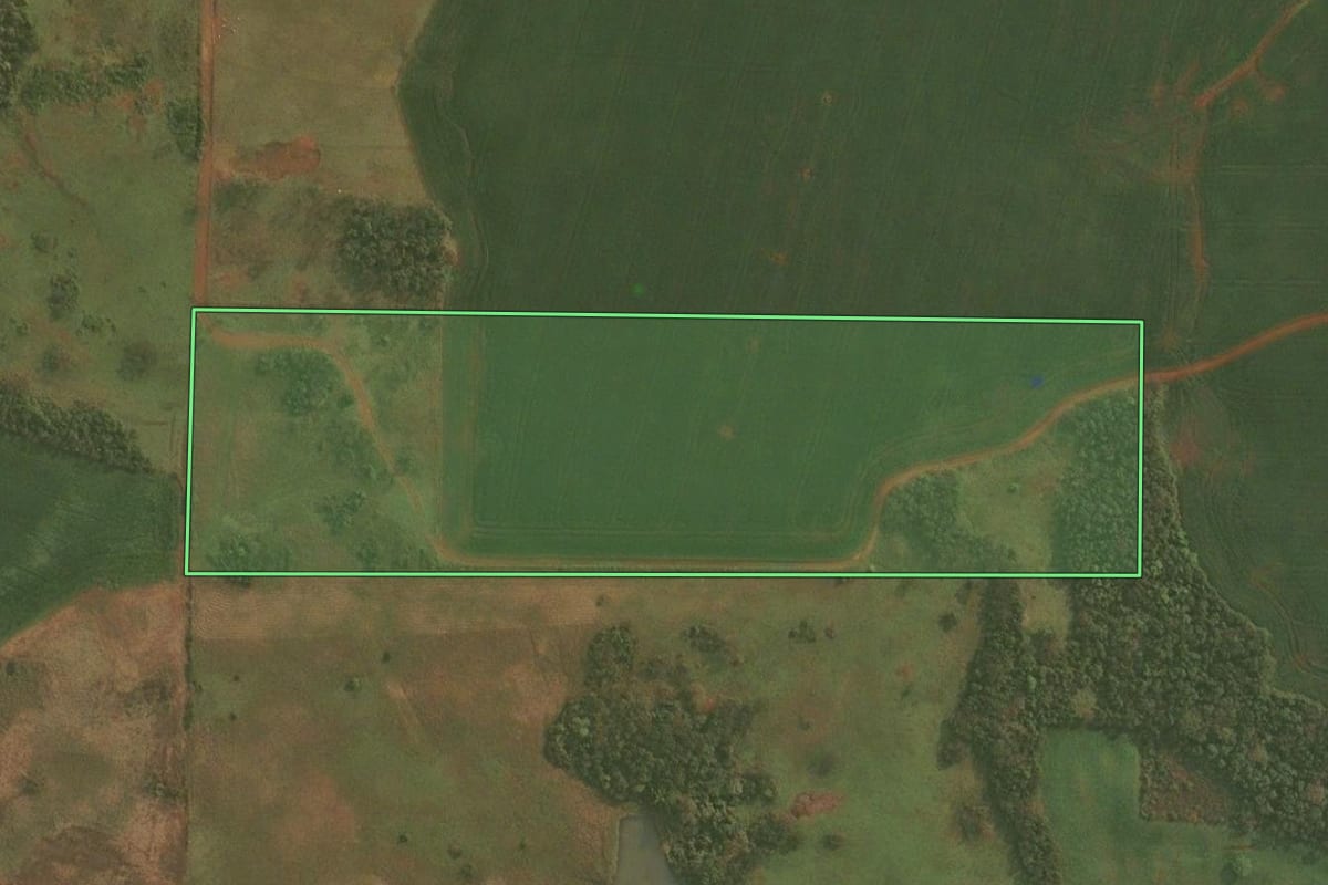 Imagem de satélite do imóvel rural em Pirapó (RS), com o contorno declarado no CAR desenhado por cima.