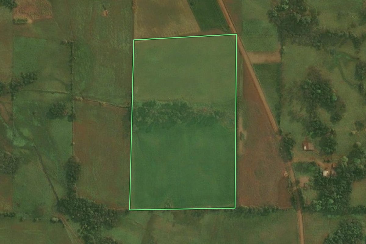 Imagem de satélite do imóvel rural em Pirapó (RS), com o contorno declarado no CAR desenhado por cima.