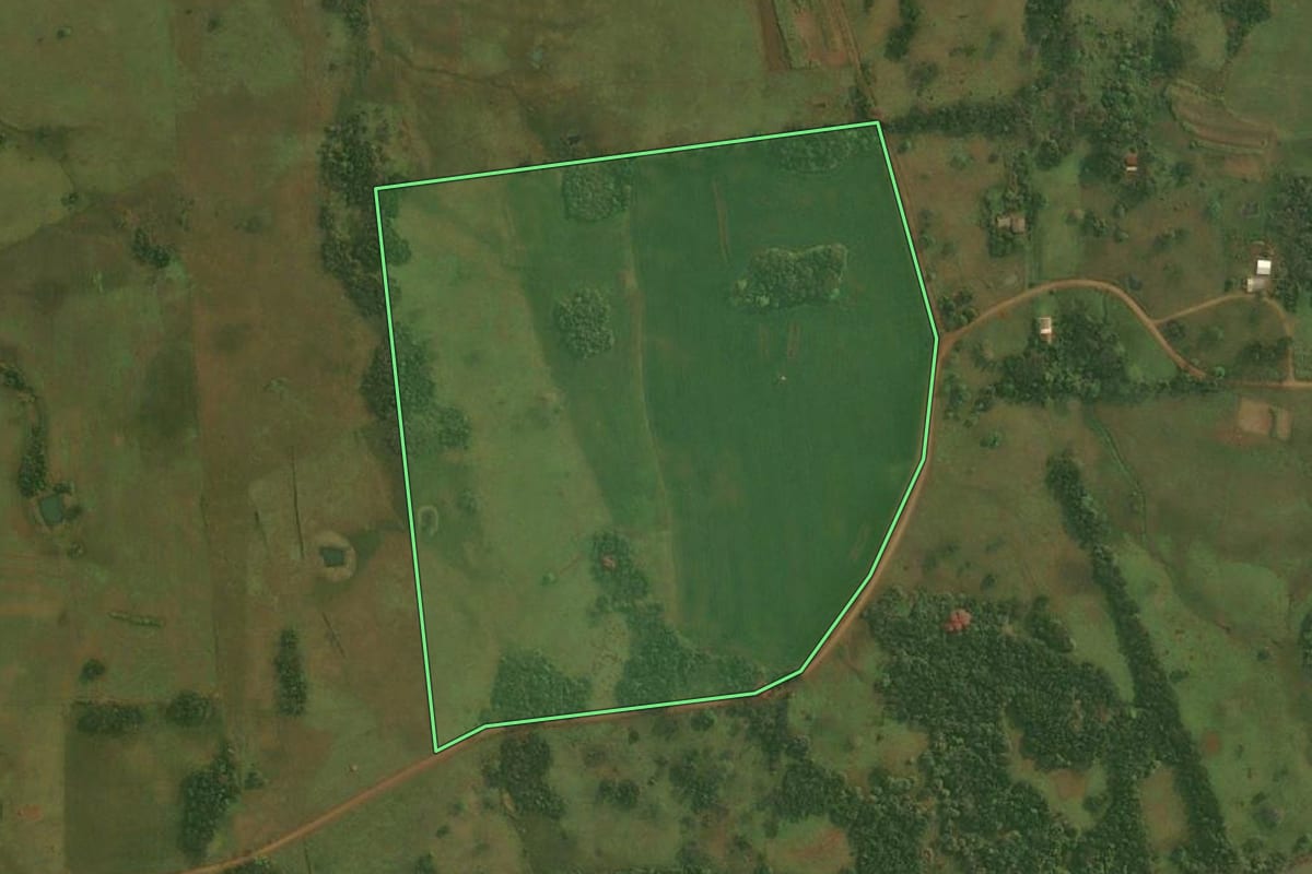 Imagem de satélite do imóvel rural em Pirapó (RS), com o contorno declarado no CAR desenhado por cima.