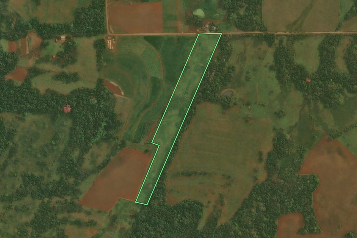 Imagem de satélite do imóvel rural em Pirapó (RS), com o contorno declarado no CAR desenhado por cima.