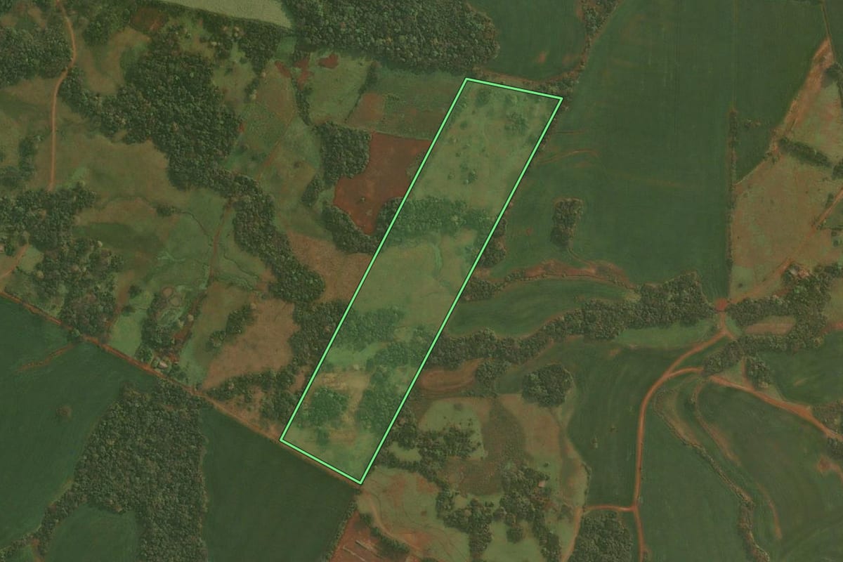 Imagem de satélite do imóvel rural em Pirapó (RS), com o contorno declarado no CAR desenhado por cima.
