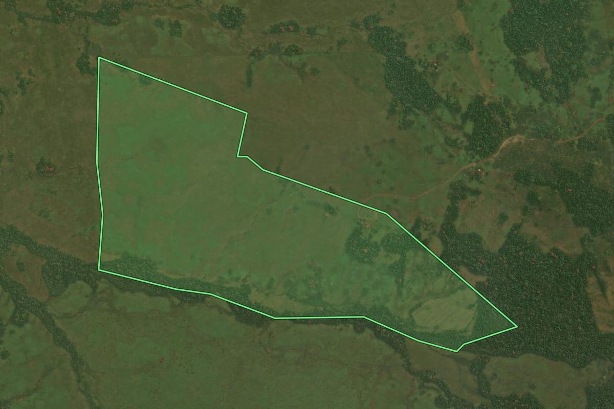 Imagem de satélite do imóvel rural em Pirapó (RS), com o contorno declarado no CAR desenhado por cima.