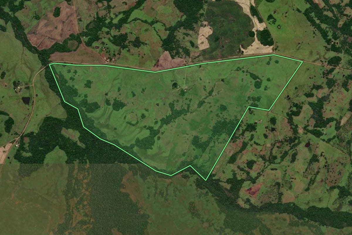 Imagem de satélite do imóvel rural em Pirapó (RS), com o contorno declarado no CAR desenhado por cima.