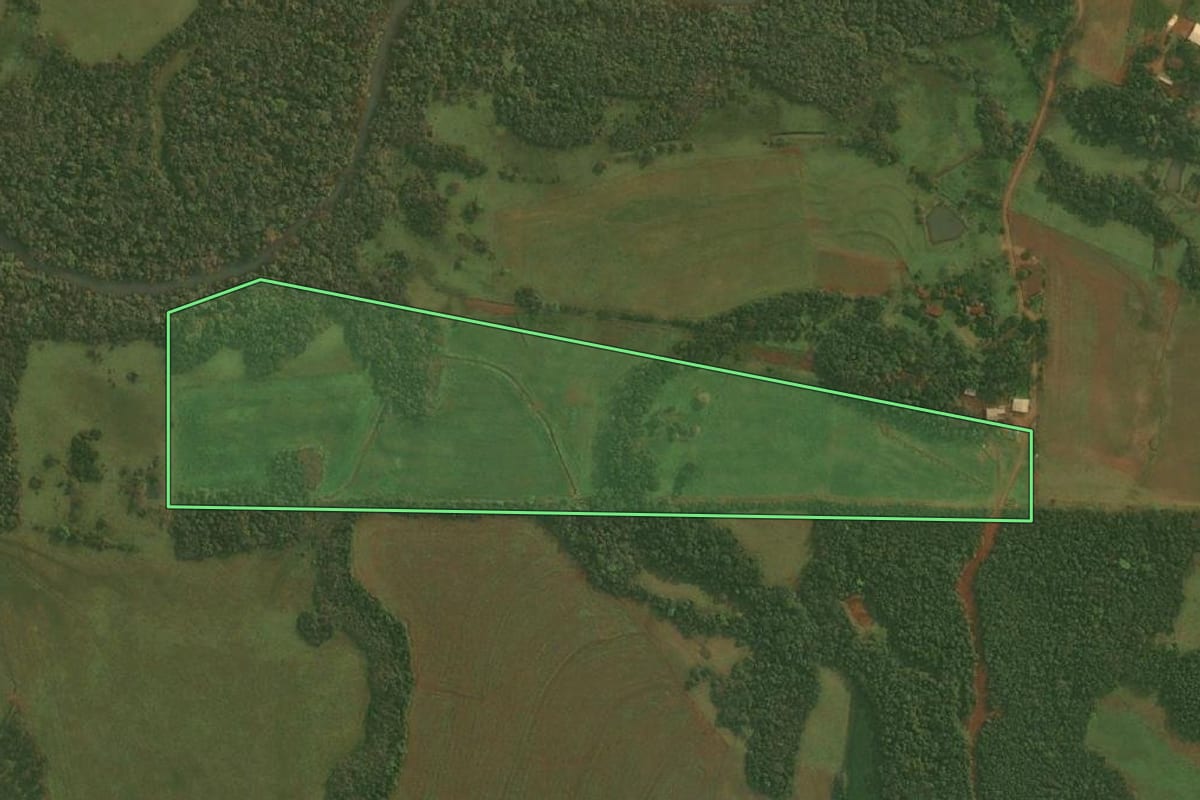 Imagem de satélite do imóvel rural em Pirapó (RS), com o contorno declarado no CAR desenhado por cima.