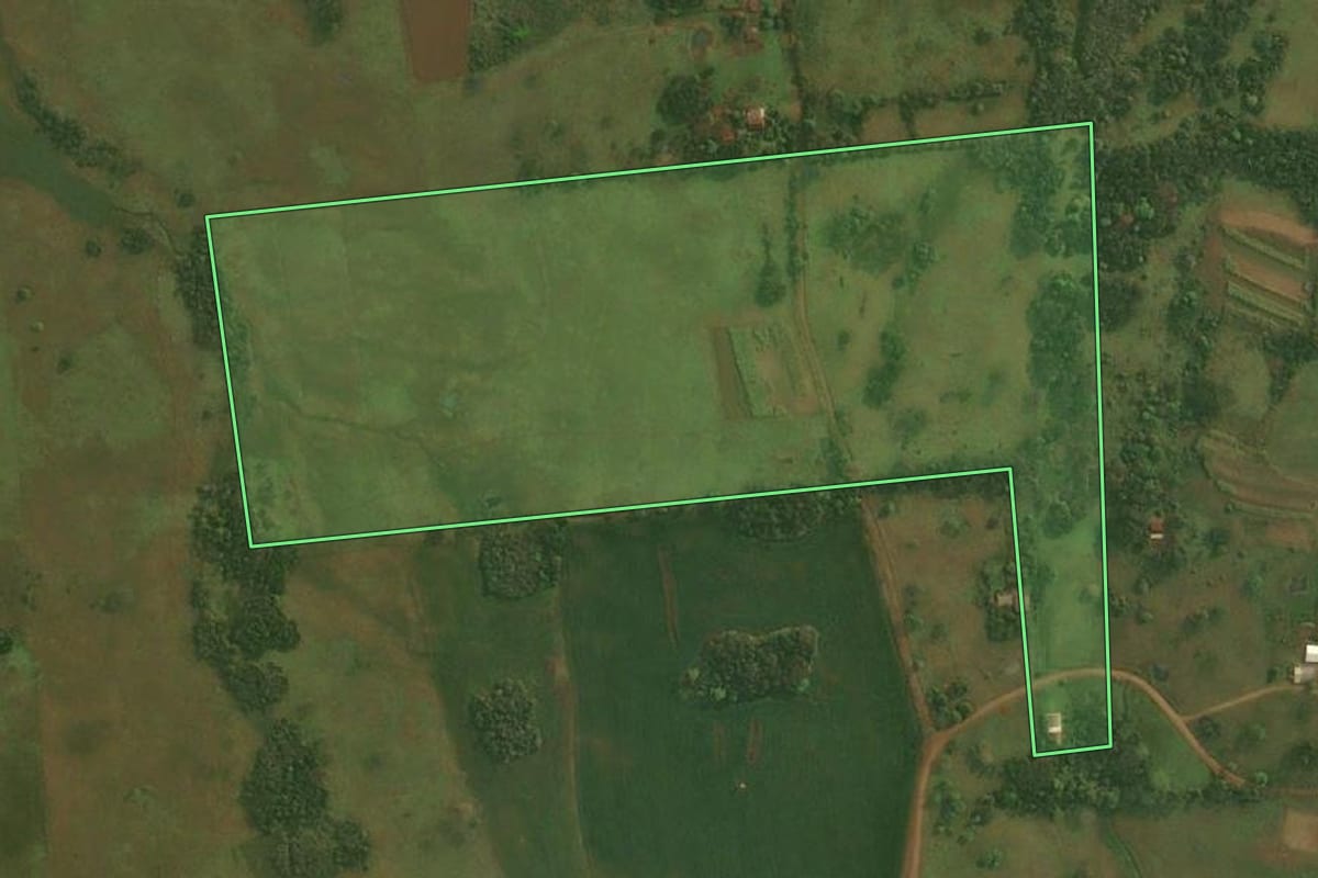 Imagem de satélite do imóvel rural em Pirapó (RS), com o contorno declarado no CAR desenhado por cima.