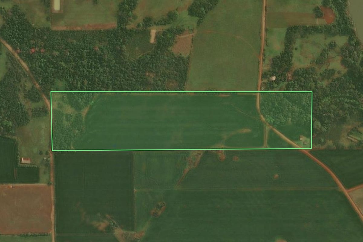 Imagem de satélite do imóvel rural em Pirapó (RS), com o contorno declarado no CAR desenhado por cima.