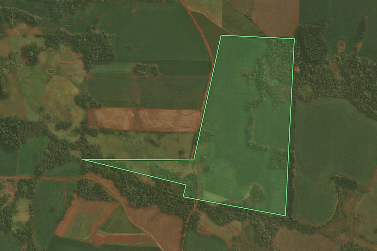 Imagem de satélite do imóvel rural em Pirapó (RS), com o contorno declarado no CAR desenhado por cima.