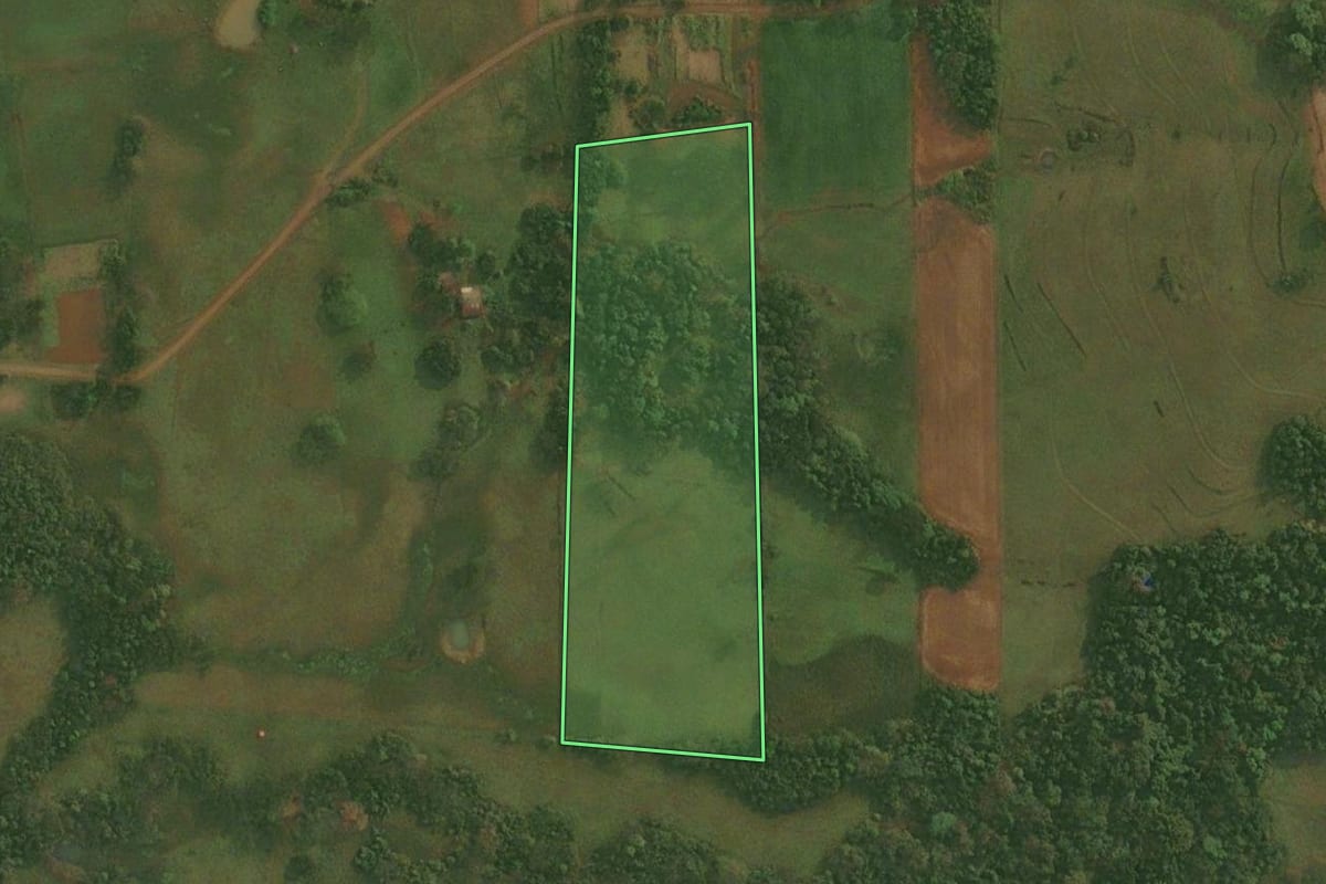 Imagem de satélite do imóvel rural em Pirapó (RS), com o contorno declarado no CAR desenhado por cima.