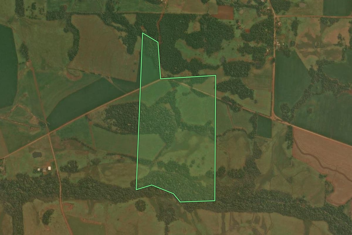 Imagem de satélite do imóvel rural em Pirapó (RS), com o contorno declarado no CAR desenhado por cima.