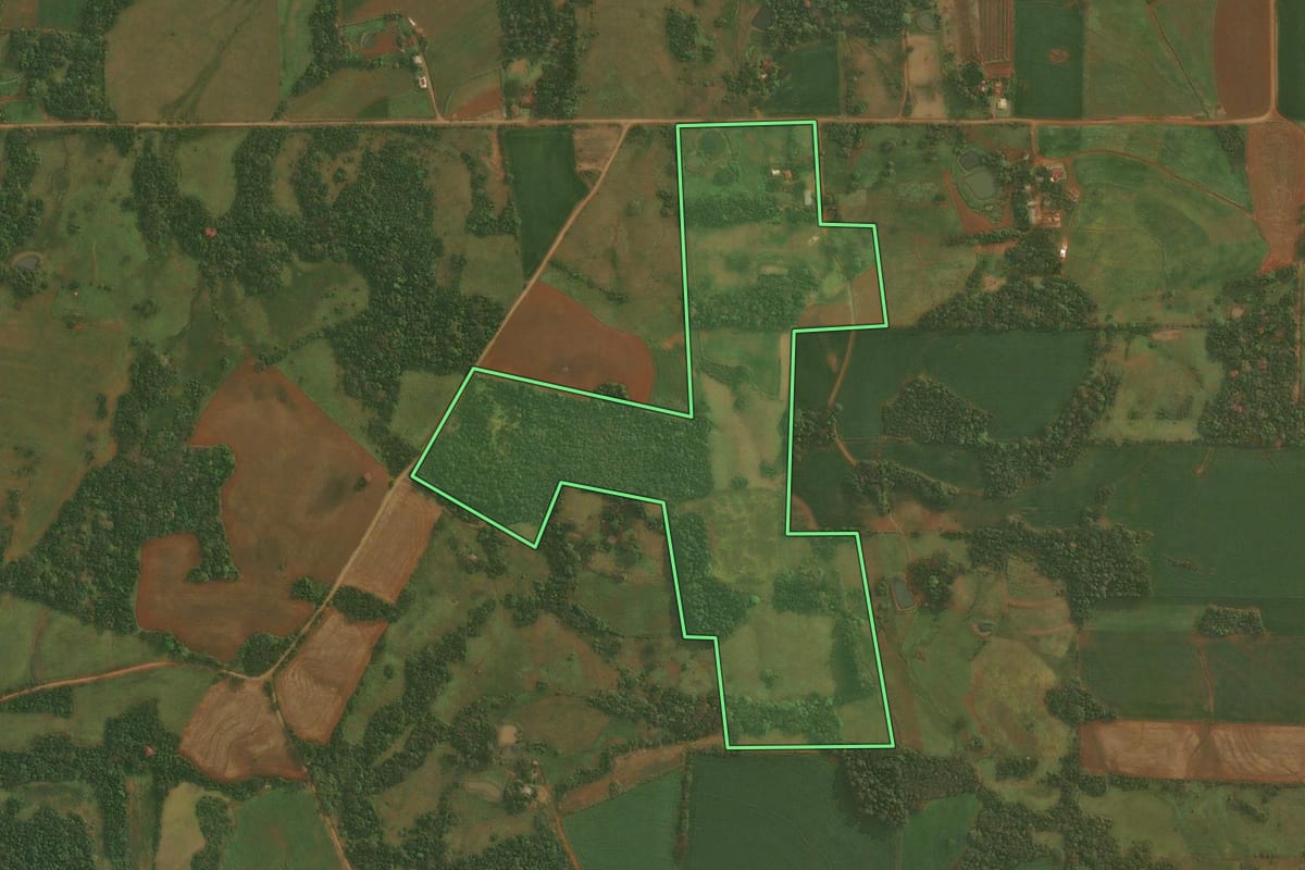 Imagem de satélite do imóvel rural em Pirapó (RS), com o contorno declarado no CAR desenhado por cima.