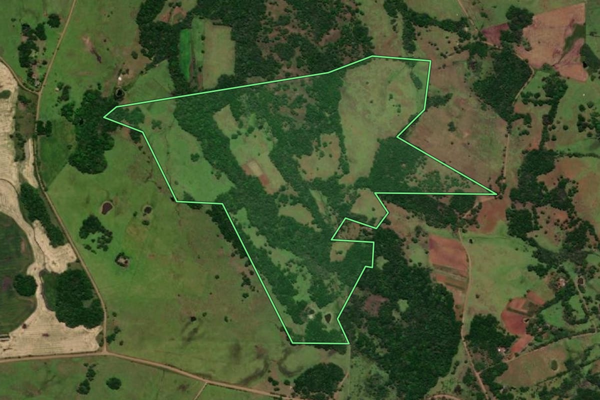 Imagem de satélite do imóvel rural em Pirapó (RS), com o contorno declarado no CAR desenhado por cima.