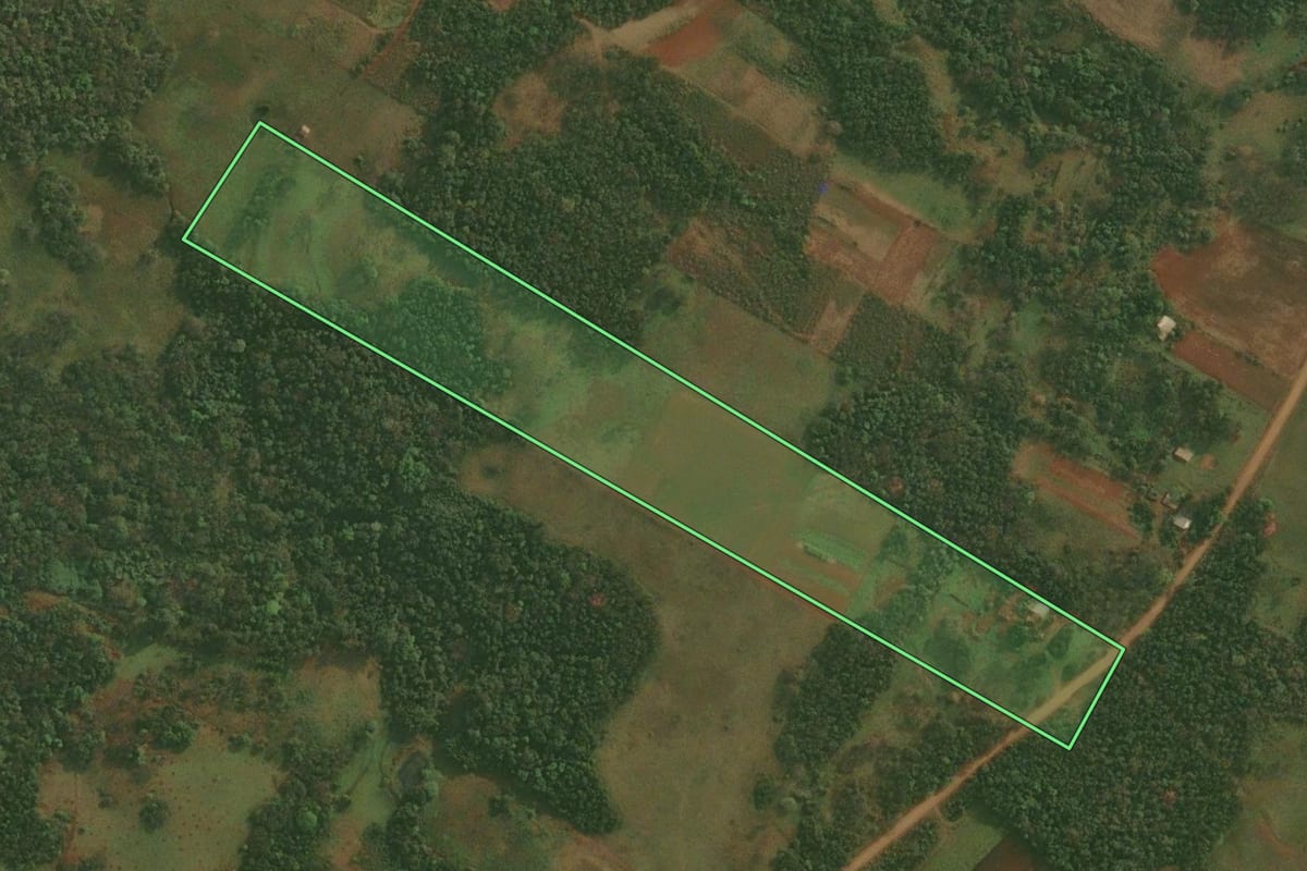 Imagem de satélite do imóvel rural em Pirapó (RS), com o contorno declarado no CAR desenhado por cima.