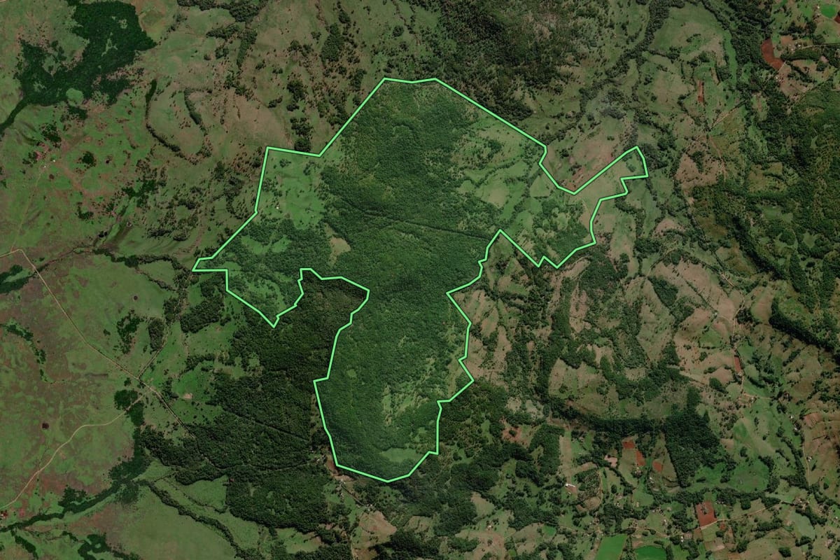 Imagem de satélite do imóvel rural em Pirapó (RS), com o contorno declarado no CAR desenhado por cima.