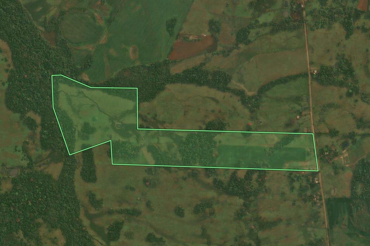 Imagem de satélite do imóvel rural em Pirapó (RS), com o contorno declarado no CAR desenhado por cima.