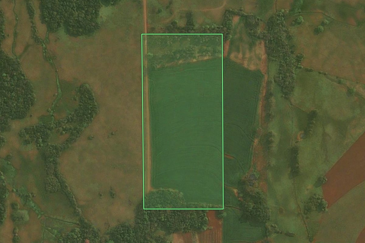 Imagem de satélite do imóvel rural em Pirapó (RS), com o contorno declarado no CAR desenhado por cima.