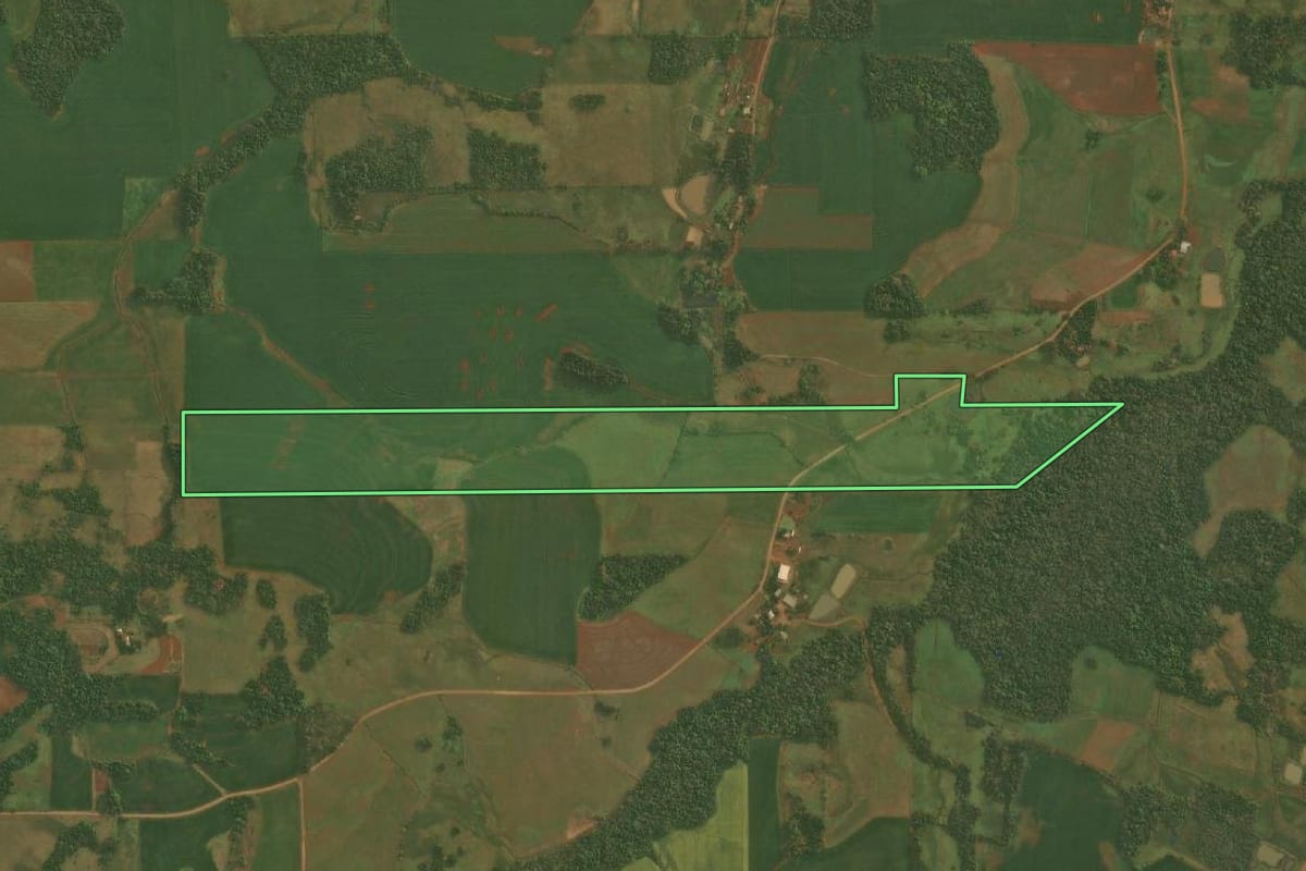 Imagem de satélite do imóvel rural em Pirapó (RS), com o contorno declarado no CAR desenhado por cima.