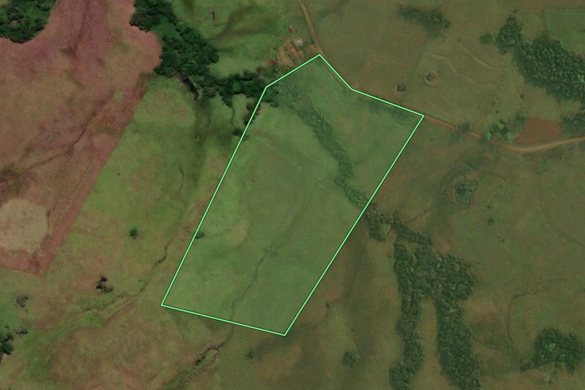 Imagem de satélite do imóvel rural em Pirapó (RS), com o contorno declarado no CAR desenhado por cima.
