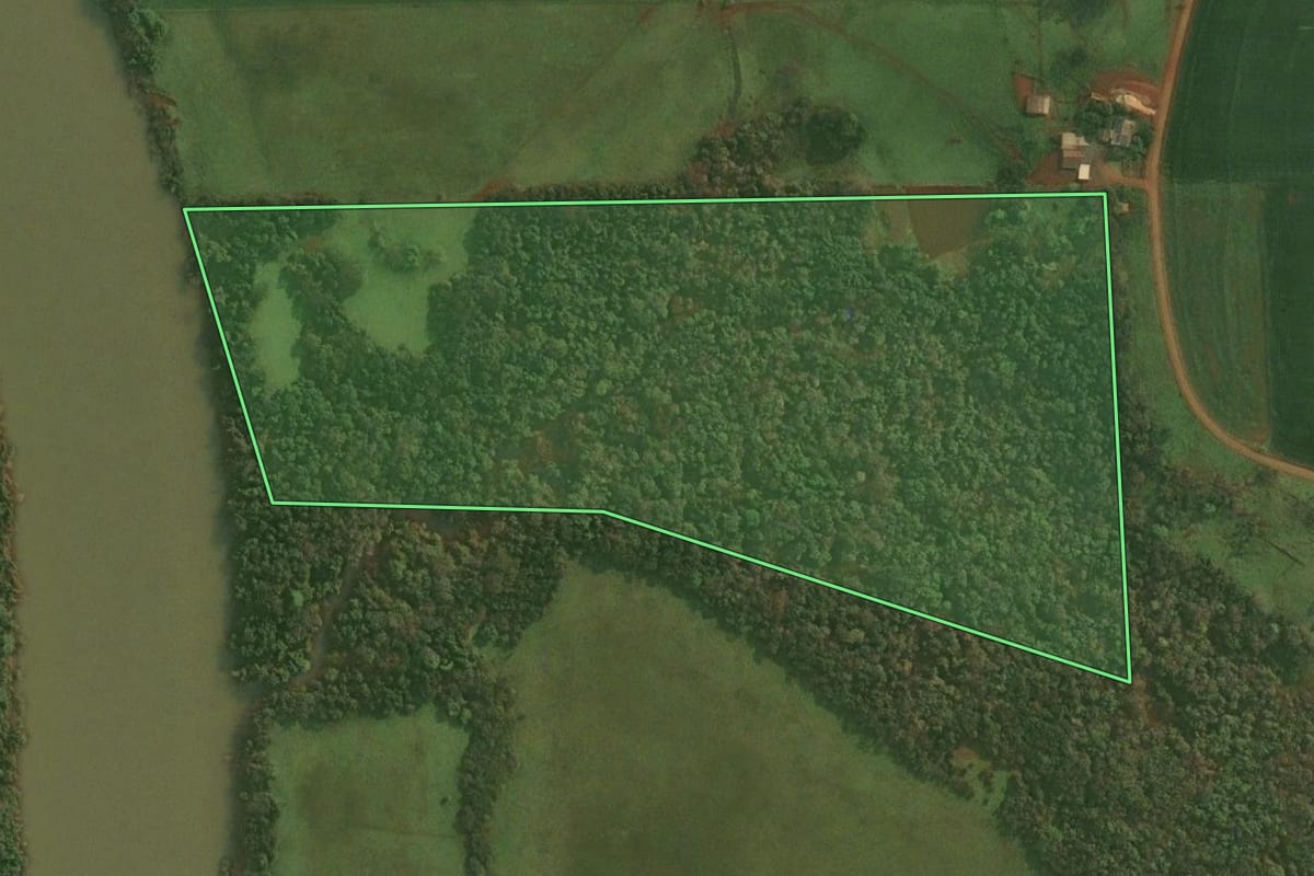 Imagem de satélite do imóvel rural em Pirapó (RS), com o contorno declarado no CAR desenhado por cima.