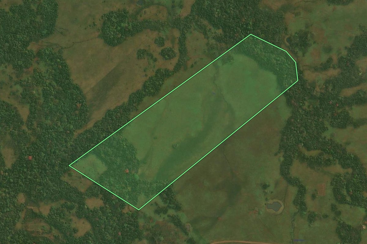 Imagem de satélite do imóvel rural em Pirapó (RS), com o contorno declarado no CAR desenhado por cima.