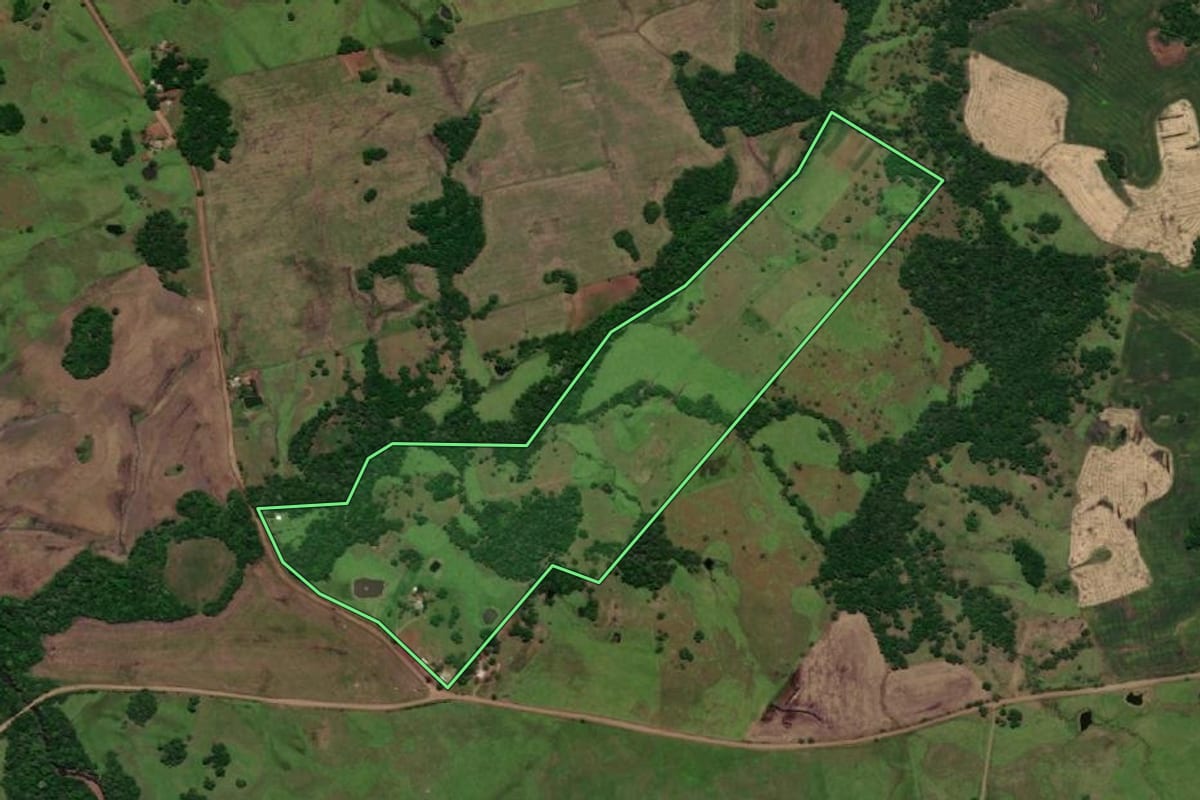 Imagem de satélite do imóvel rural em Pirapó (RS), com o contorno declarado no CAR desenhado por cima.