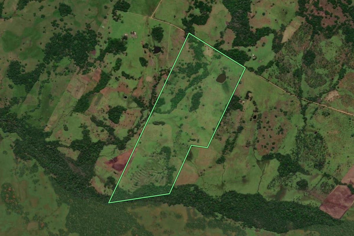 Imagem de satélite do imóvel rural em Pirapó (RS), com o contorno declarado no CAR desenhado por cima.