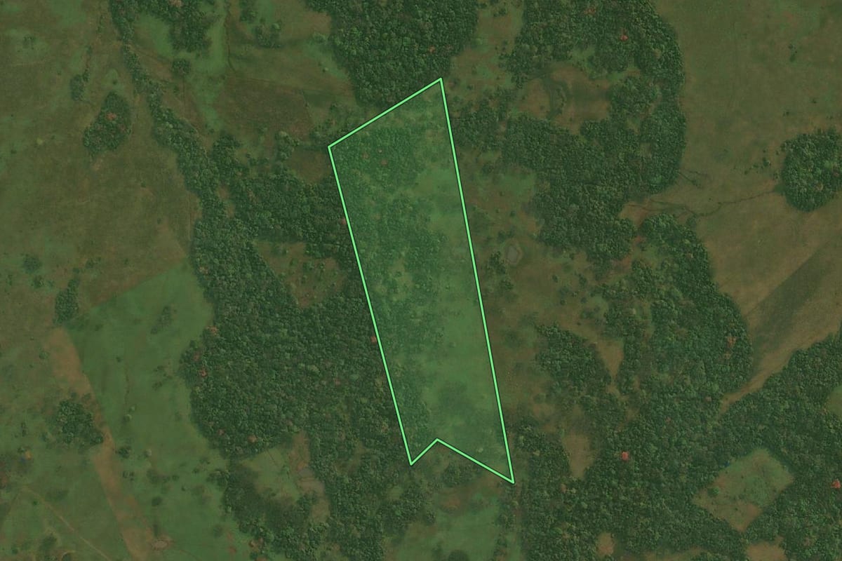 Imagem de satélite do imóvel rural em Pirapó (RS), com o contorno declarado no CAR desenhado por cima.