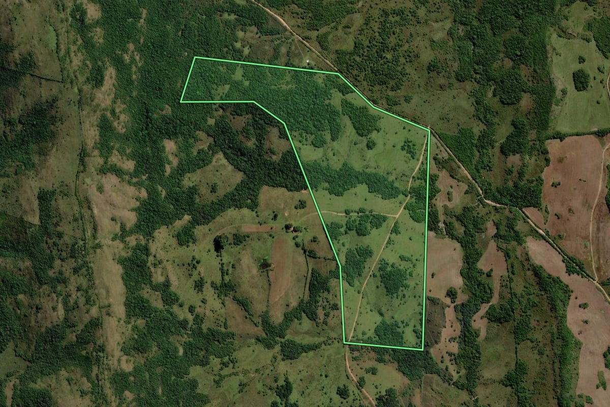 Imagem de satélite do imóvel rural em Piratini (RS), com o contorno declarado no CAR desenhado por cima.