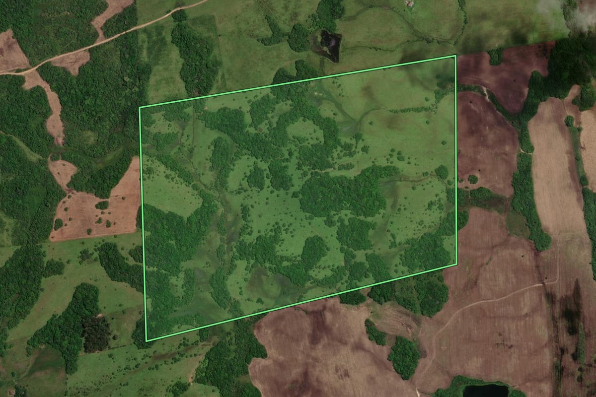 Imagem de satélite do imóvel rural em Piratini (RS), com o contorno declarado no CAR desenhado por cima.