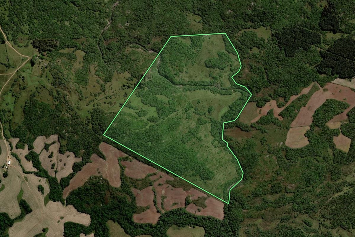 Imagem de satélite do imóvel rural em Piratini (RS), com o contorno declarado no CAR desenhado por cima.