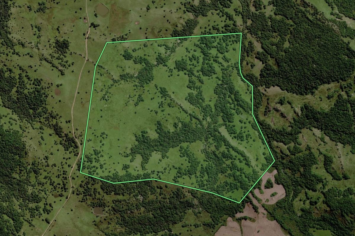 Imagem de satélite do imóvel rural em Piratini (RS), com o contorno declarado no CAR desenhado por cima.