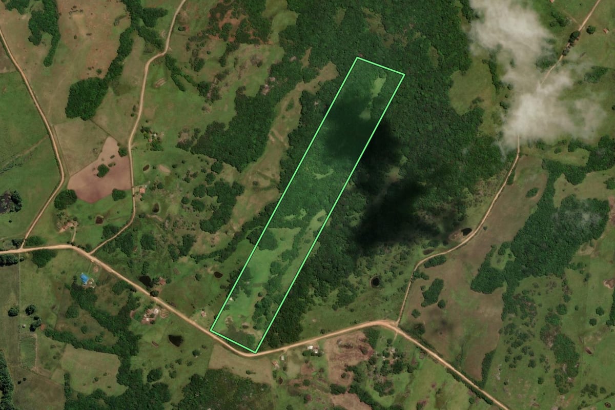 Imagem de satélite do imóvel rural em Piratini (RS), com o contorno declarado no CAR desenhado por cima.