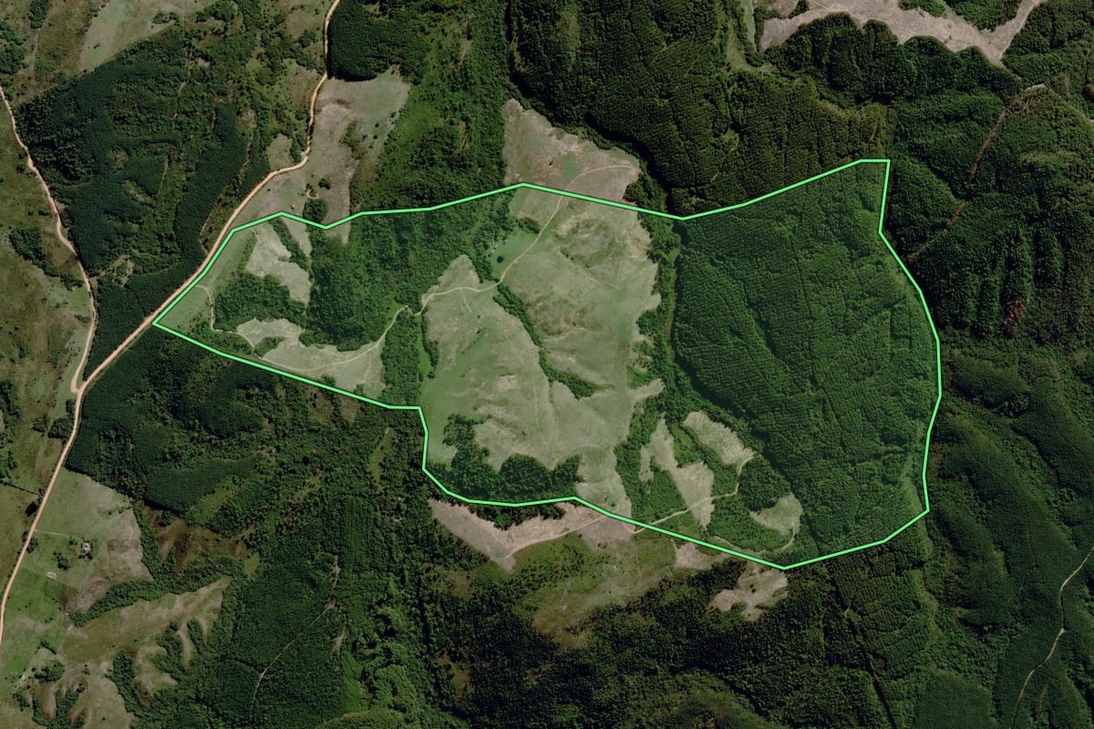 Imagem de satélite do imóvel rural em Piratini (RS), com o contorno declarado no CAR desenhado por cima.