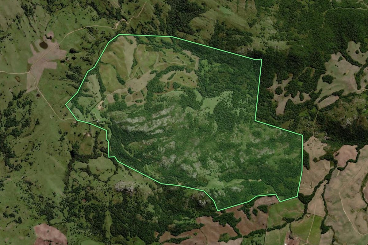 Imagem de satélite do imóvel rural em Piratini (RS), com o contorno declarado no CAR desenhado por cima.