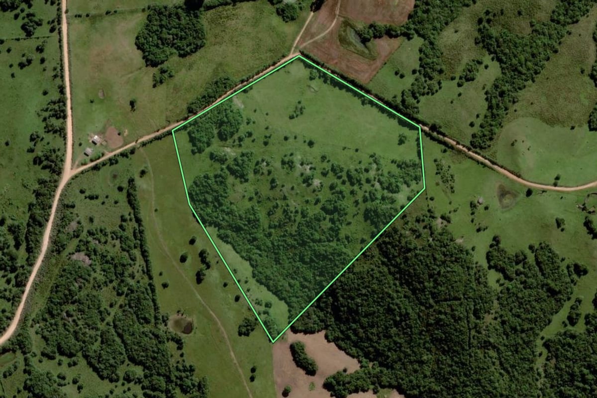 Imagem de satélite do imóvel rural em Piratini (RS), com o contorno declarado no CAR desenhado por cima.