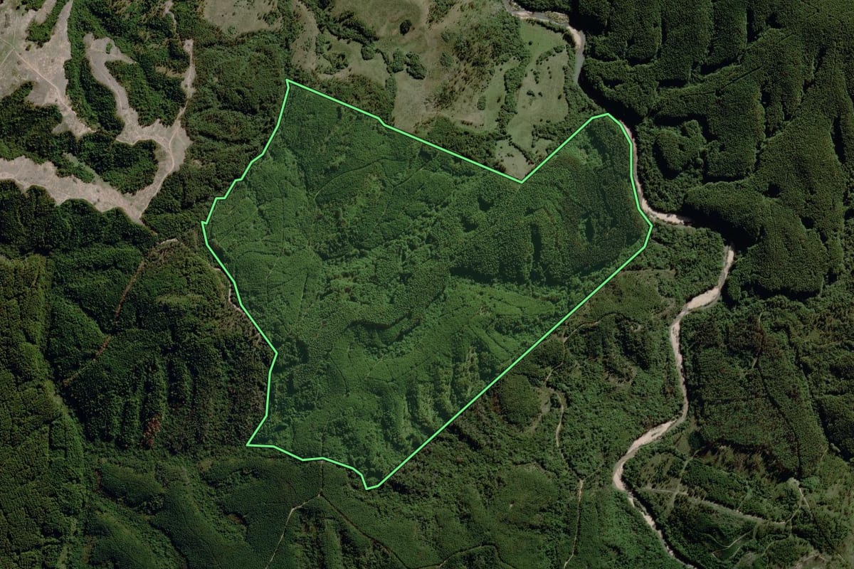 Imagem de satélite do imóvel rural em Piratini (RS), com o contorno declarado no CAR desenhado por cima.