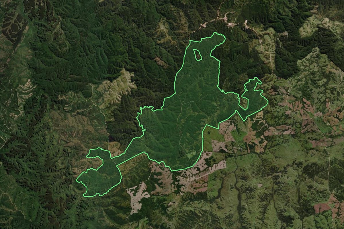 Imagem de satélite do imóvel rural em Piratini (RS), com o contorno declarado no CAR desenhado por cima.
