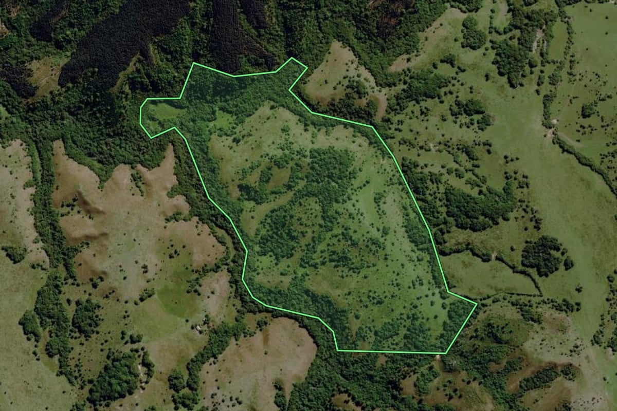 Imagem de satélite do imóvel rural em Piratini (RS), com o contorno declarado no CAR desenhado por cima.