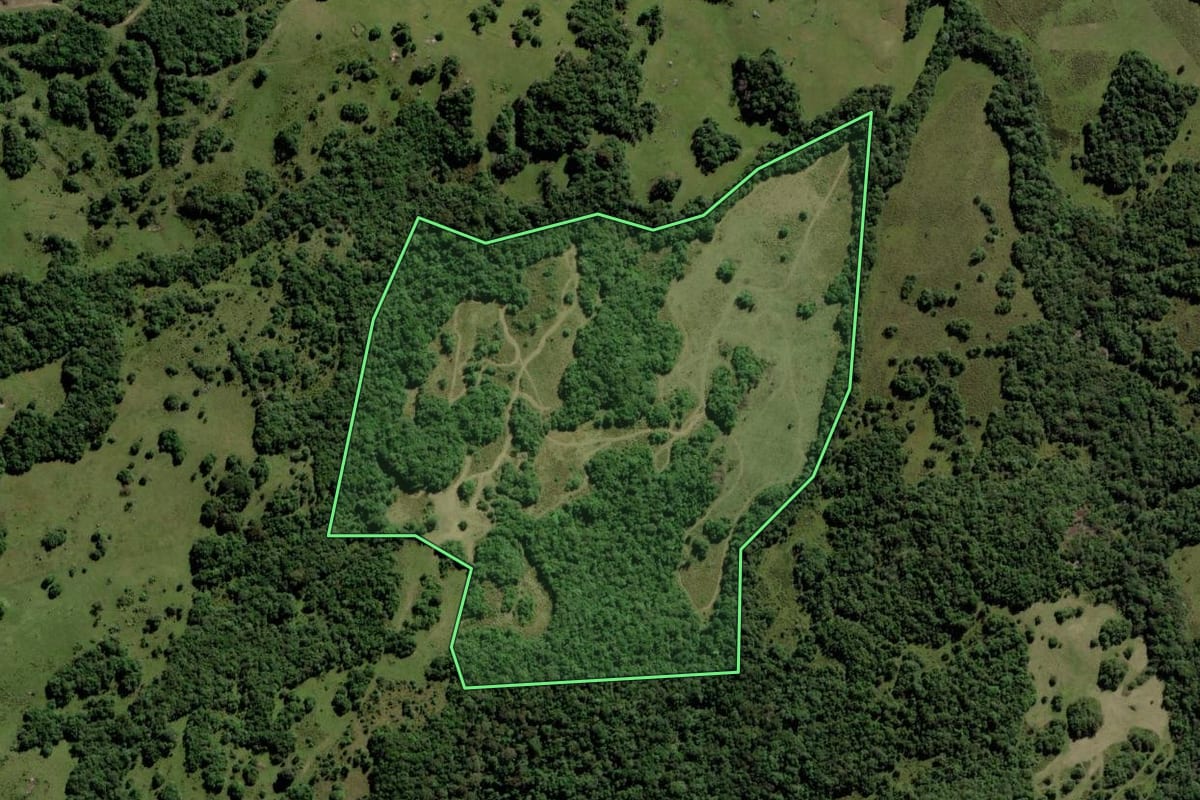 Imagem de satélite do imóvel rural em Piratini (RS), com o contorno declarado no CAR desenhado por cima.