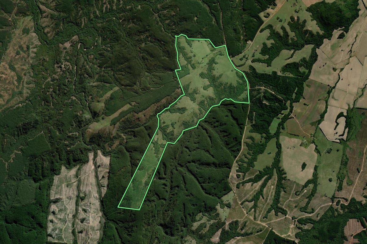 Imagem de satélite do imóvel rural em Piratini (RS), com o contorno declarado no CAR desenhado por cima.