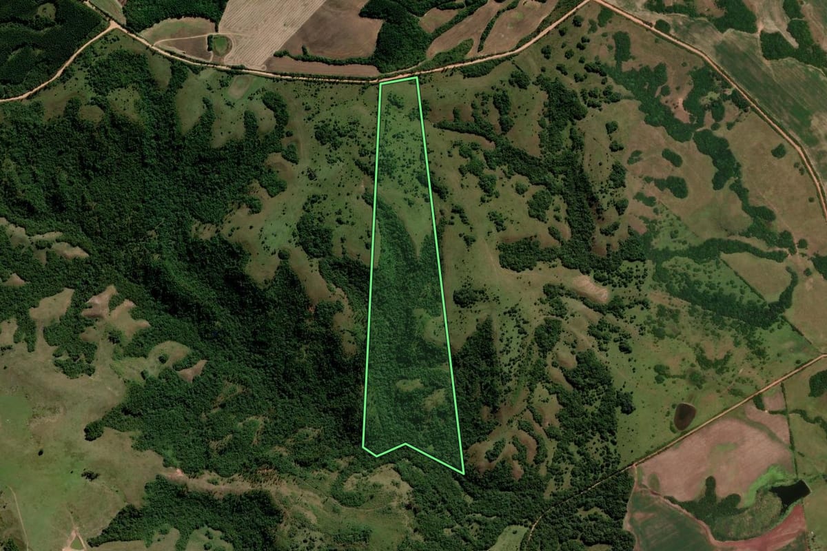 Imagem de satélite do imóvel rural em Piratini (RS), com o contorno declarado no CAR desenhado por cima.