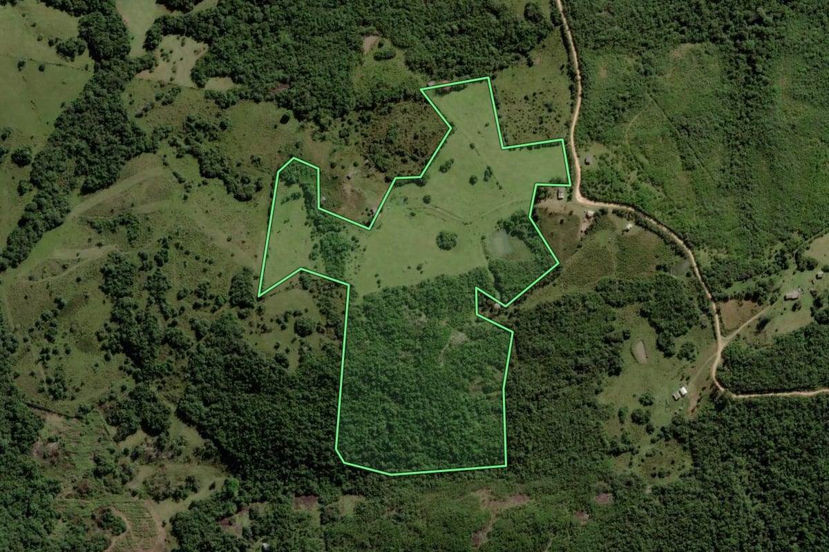 Imagem de satélite do imóvel rural em Piratini (RS), com o contorno declarado no CAR desenhado por cima.
