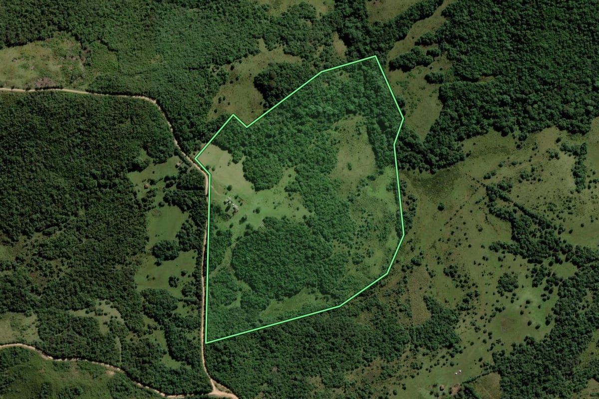 Imagem de satélite do imóvel rural em Piratini (RS), com o contorno declarado no CAR desenhado por cima.