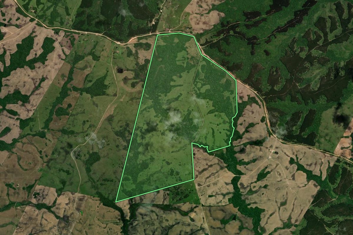 Imagem de satélite do imóvel rural em Piratini (RS), com o contorno declarado no CAR desenhado por cima.