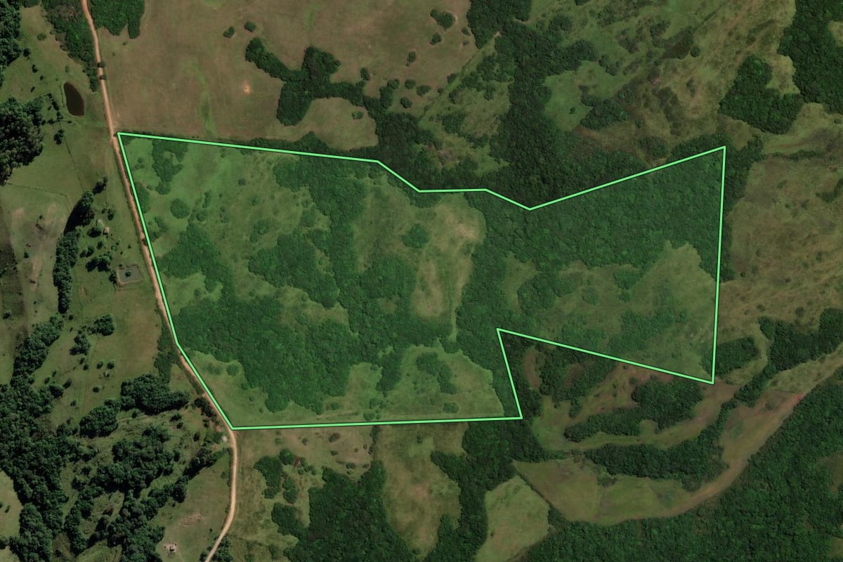 Imagem de satélite do imóvel rural em Piratini (RS), com o contorno declarado no CAR desenhado por cima.