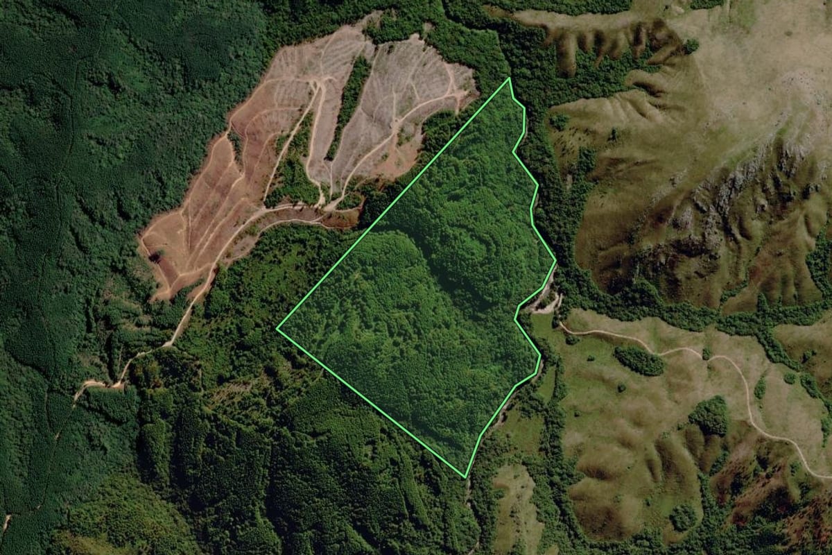 Imagem de satélite do imóvel rural em Piratini (RS), com o contorno declarado no CAR desenhado por cima.