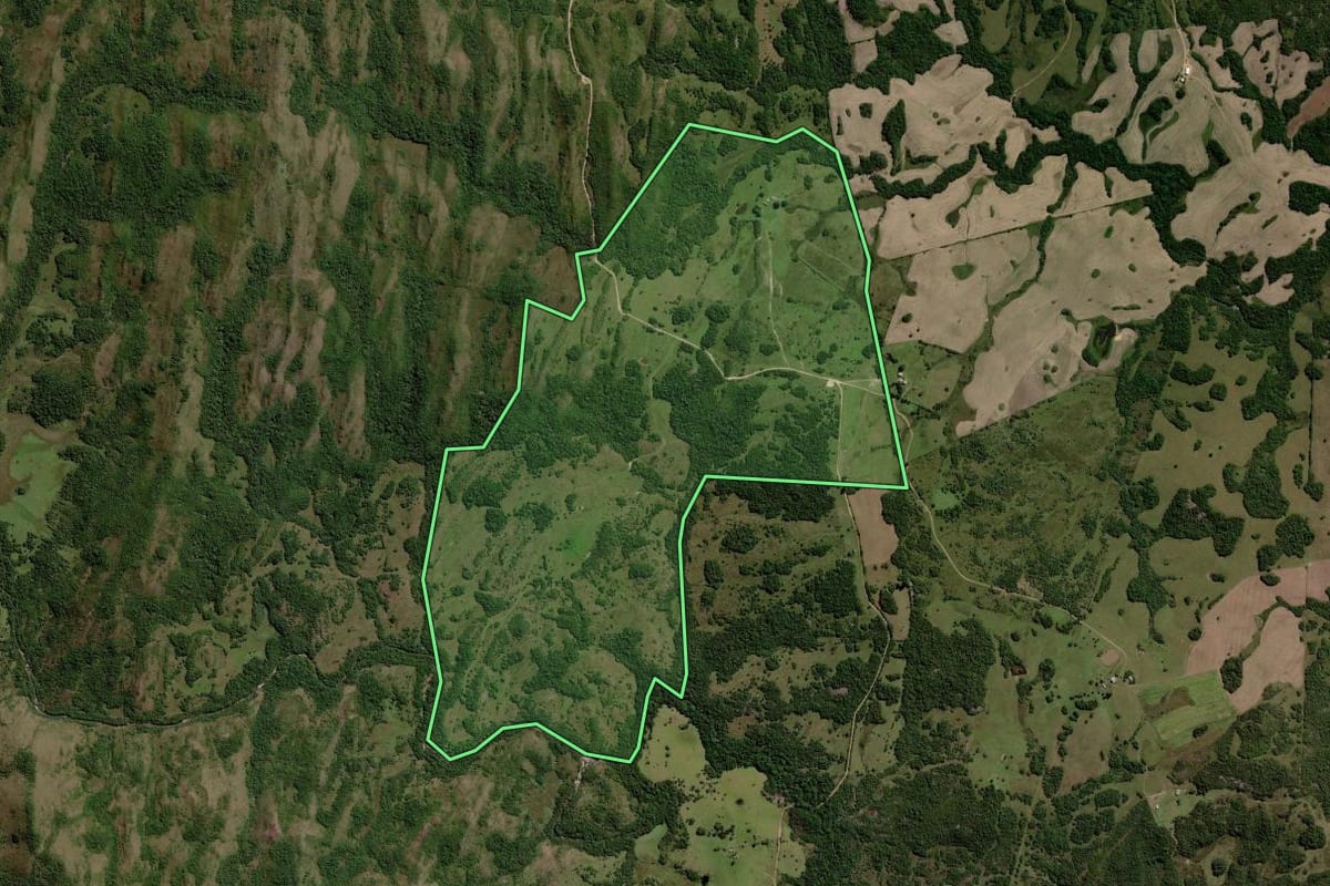 Imagem de satélite do imóvel rural em Piratini (RS), com o contorno declarado no CAR desenhado por cima.